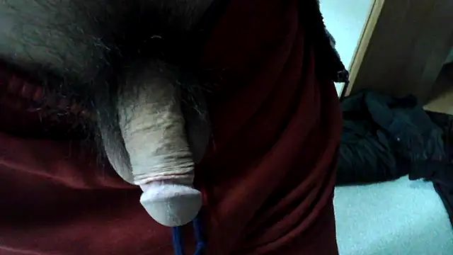 ikkakusai11 online show from 2, 1, 2025