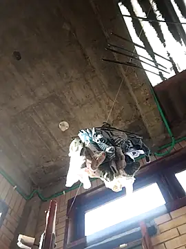 gigolopez1 online show from 15, 2, 2026