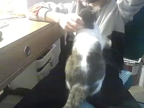 Snapshot of kallaviz chatting on 7, 1, 2026 kallaviz online show from 7, 1, 2026