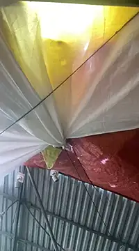 Snapshot of Cesywet chatting on 7, 2, 2025 Cesywet online show from 7, 2, 2025