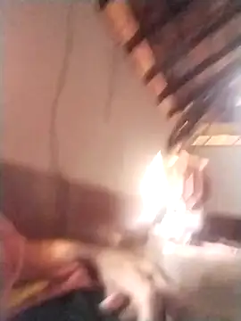 Snapshot of rajshank chatting on 29, 12, 2024 rajshank online show from 29, 12, 2024