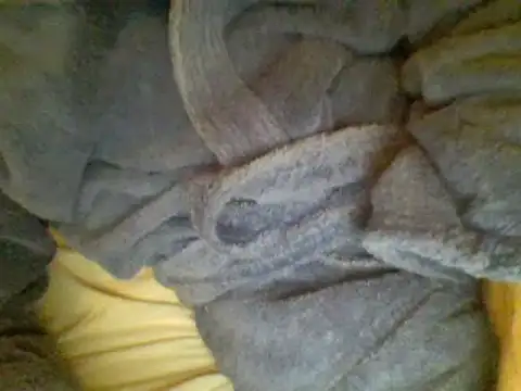 Snapshot of Ariete80s chatting on 23, 2, 2025 Ariete80s online show from 23, 2, 2025