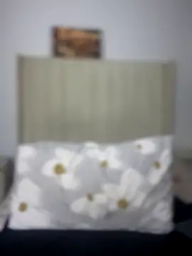 BhadBhad Kitty online show from 8, 10, 2025