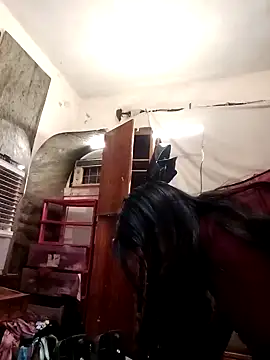 SINUECASTILLO online show from 12, 12, 2024