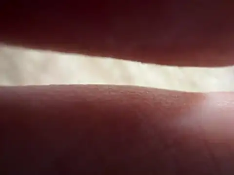 333vvvxs online show from 24, 4, 2026