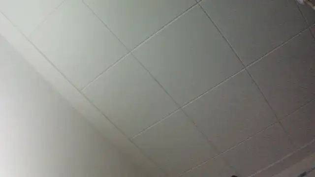 gorkamacbew online show from 9, 9, 2025