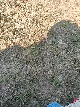 Gururonny07 online show from 27, 1, 2025