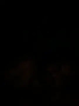 Snapshot of islandvybee55 chatting on 18, 12, 2024 islandvybee55 online show from 18, 12, 2024