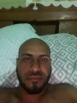 islandvybee55 online show from 20, 12, 2025