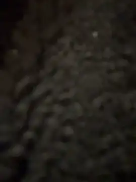 Snapshot of cicciolina chatting on 31, 1, 2025 cicciolina online show from 31, 1, 2025