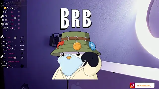  sulmatevans  online show from 24, 1, 2025