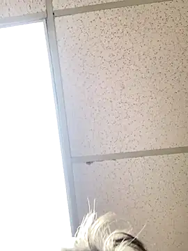 Tonybaloney1972 online show from 31, 10, 2025