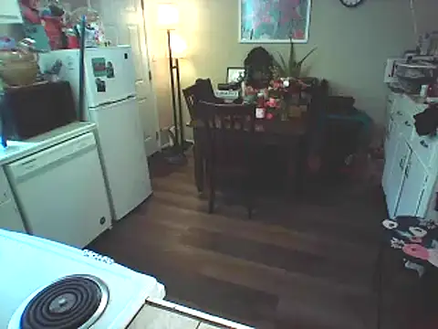 Big-Tits-McGee online show from 19, 2, 2025