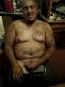 wilsons12 online show from 22, 10, 2025