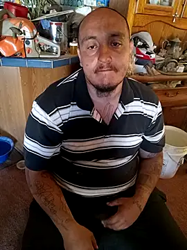 wilsons12 online show from 31, 10, 2025