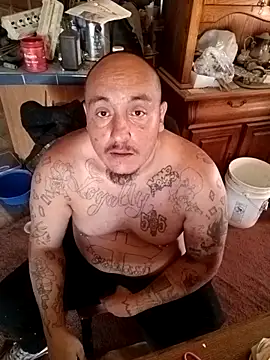 wilsons12 online show from 8, 11, 2025