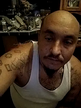 wilsons12 online show from 29, 11, 2025