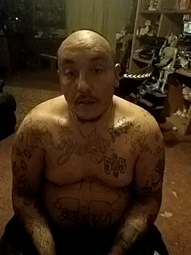 wilsons12 online show from 17, 2, 2026