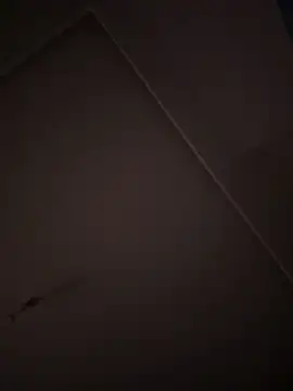 eddy355 online show from 26, 10, 2025