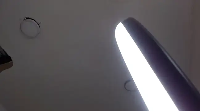 Snapshot of MurdockH chatting on 21, 2, 2025 MurdockH online show from 21, 2, 2025