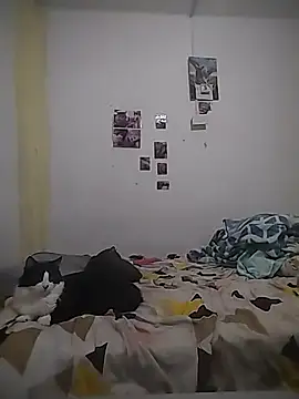 Snapshot of safira_hot chatting on 16, 2, 2026 safira hot online show from 16, 2, 2026