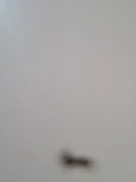 Snapshot of BriannaVincent chatting on 29, 10, 2025 BriannaVincent online show from 29, 10, 2025