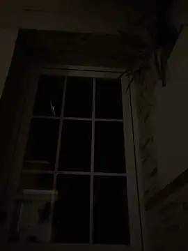 Snapshot of Imperial_10 chatting on 6, 12, 2024 Imperial 10 online show from 6, 12, 2024