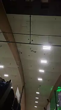 M1ssyk1ssy online show from 21, 12, 2024