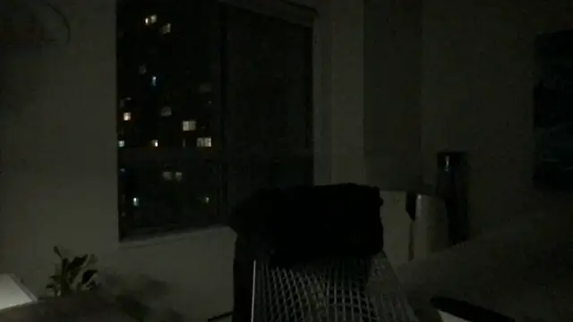 Snapshot of Gingerbushguy chatting on 29, 12, 2024 Gingerbushguy online show from 29, 12, 2024