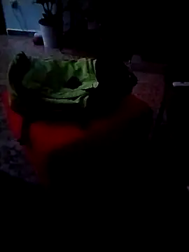 minitranca online show from 26, 2, 2026