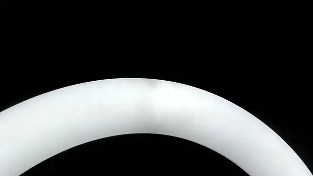PandoraRider online show from 16, 7, 2026