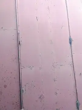 Snapshot of Polygamist chatting on 16, 12, 2025 Polygamist online show from 16, 12, 2025