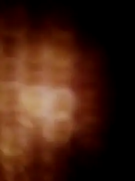 lavancaafiada online show from 24, 4, 2026