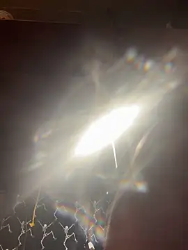 Snapshot of mascmo88 chatting on 5, 1, 2026 mascmo88 online show from 5, 1, 2026