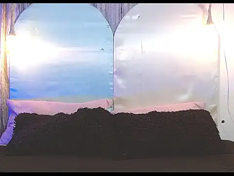 Snapshot of tylor_boy chatting on 7, 1, 2026 tylor boy online show from 7, 1, 2026