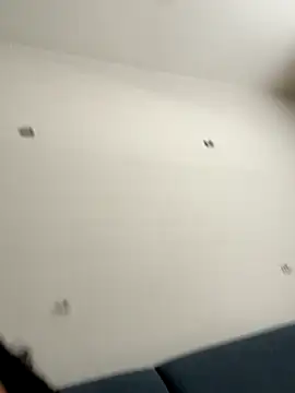 calibabi online show from 19, 11, 2025