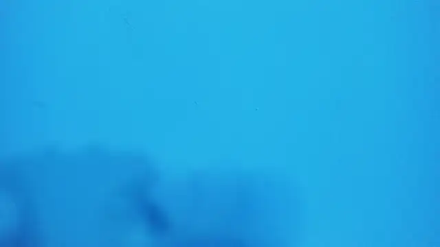 Snapshot of _hairybeard_ chatting on 20, 2, 2025 hairybeard online show from 20, 2, 2025