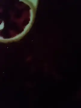 cjonybab online show from 13, 1, 2026