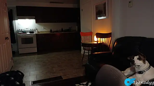 Thekodyy online show from 9, 1, 2026