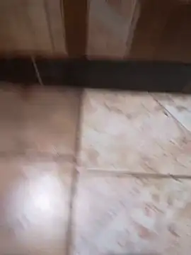 Almagemeamre online show from 29, 5, 2026
