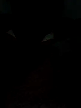 Snapshot of catreena chatting on 9, 2, 2026 catreena online show from 9, 2, 2026