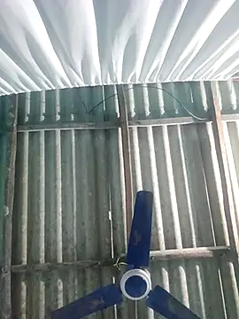 hotbaby 5 online show from 20, 11, 2025