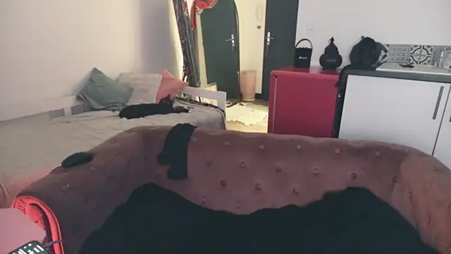 ce leste   online show from 10, 1, 2026