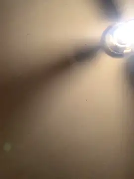 thiccplamp online show from 29, 11, 2025