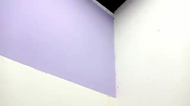 Snapshot of PetiteIvoryQueen19 chatting on 13, 2, 2026 PetiteIvoryQueen19 online show from 13, 2, 2026