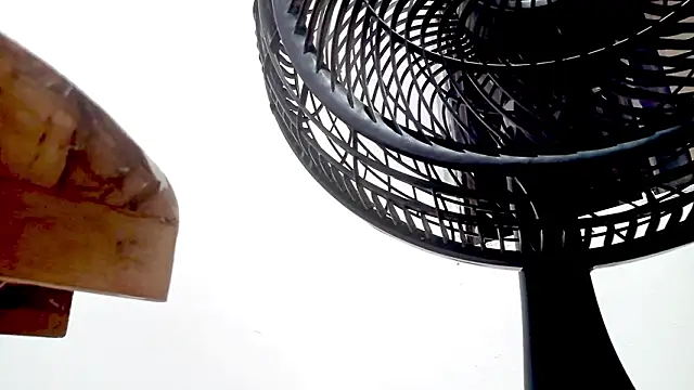 Snapshot of PetiteIvoryQueen19 chatting on 14, 2, 2026 PetiteIvoryQueen19 online show from 14, 2, 2026