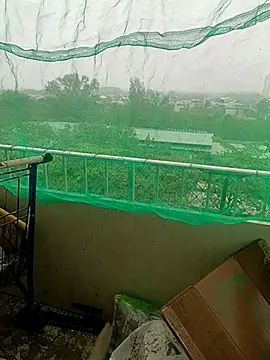 Pau de mel20 online show from 8, 10, 2025