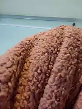 Snapshot of 911Calling chatting on 14, 12, 2024 911Calling online show from 14, 12, 2024