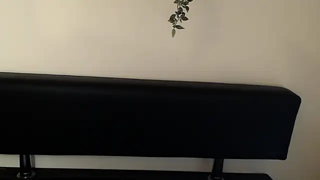 LaimaV  online show from 10, 4, 2026