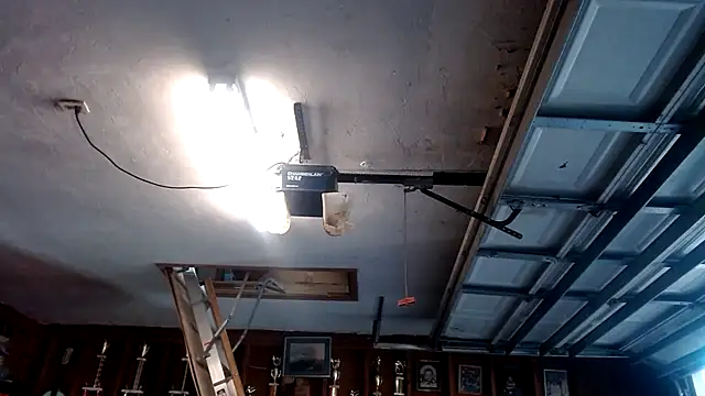 Buffshagswell online show from 19, 3, 2025